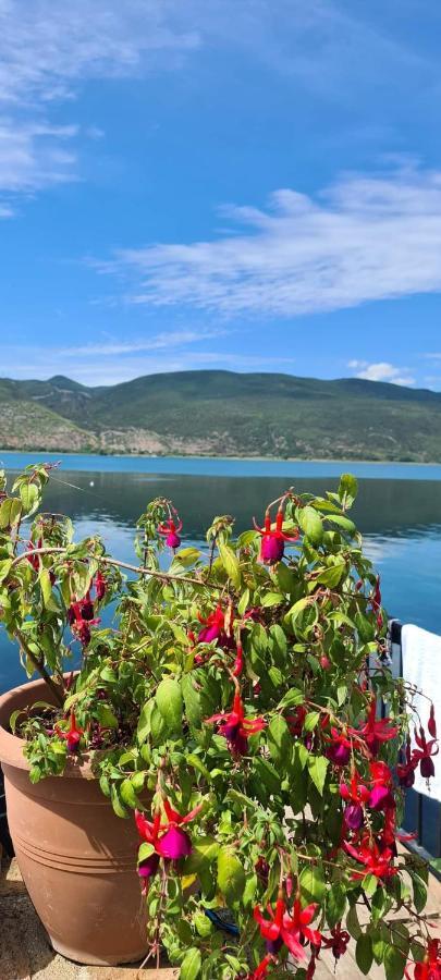 Rosa B&B Lini Εξωτερικό φωτογραφία
