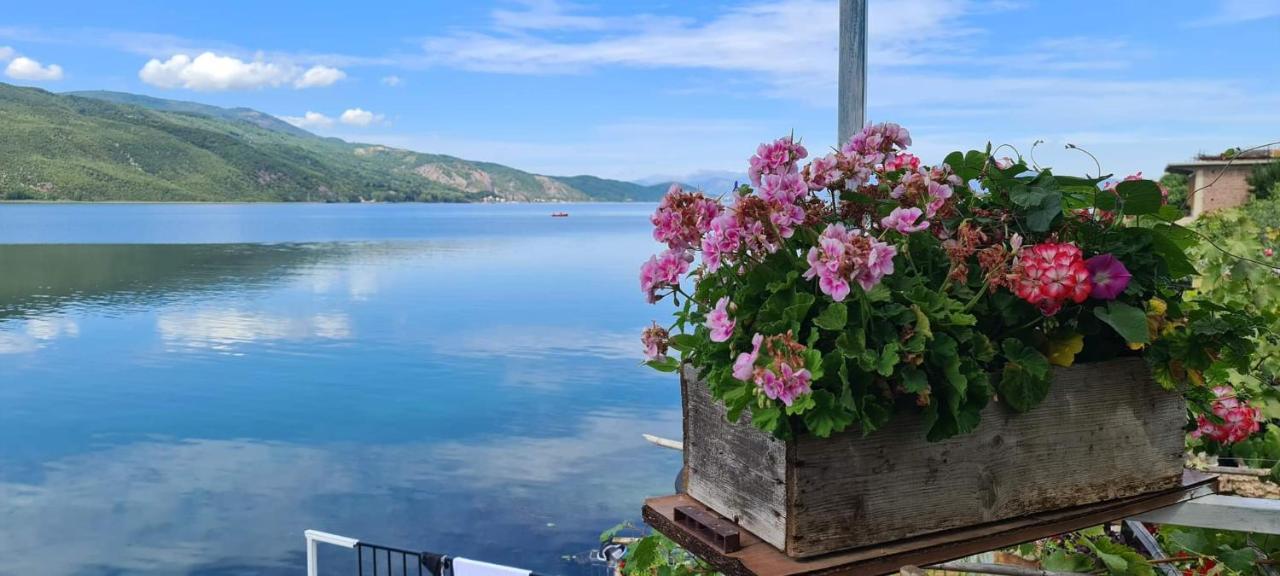 Rosa B&B Lini Εξωτερικό φωτογραφία