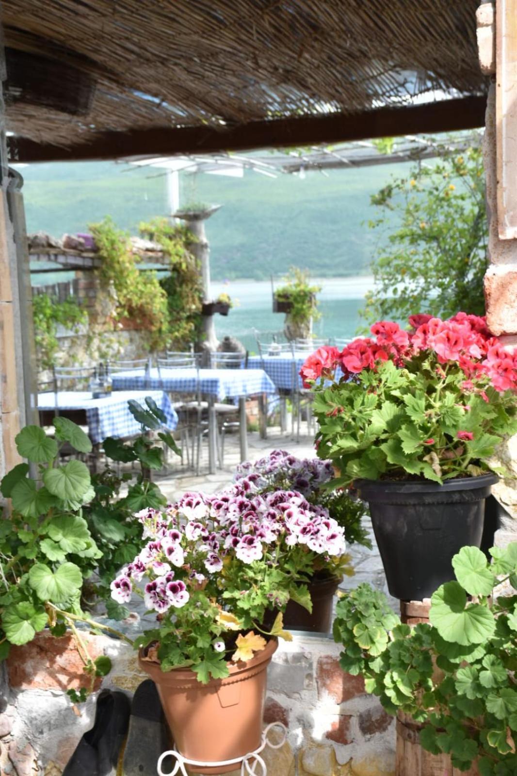 Rosa B&B Lini Εξωτερικό φωτογραφία